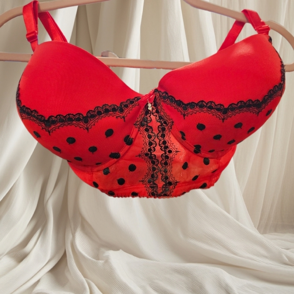 Smart and Sexy Red Bra